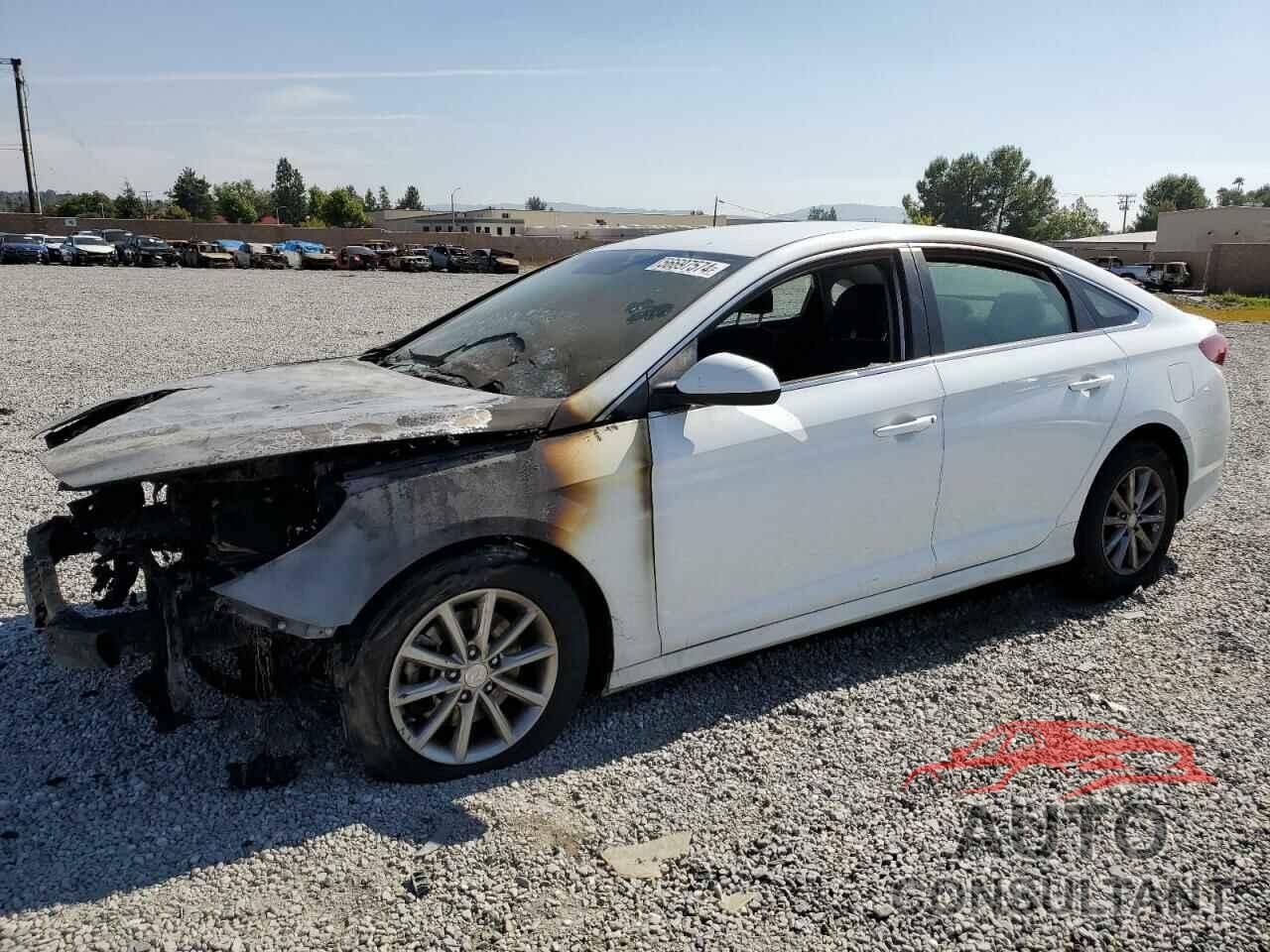 HYUNDAI SONATA 2019 - 5NPE24AF7KH776464