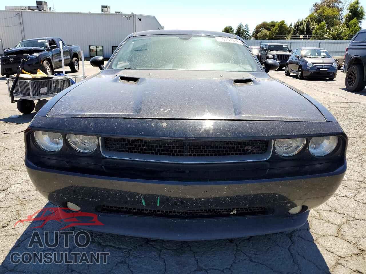 DODGE CHALLENGER 2012 - 2C3CDYBT8CH231868