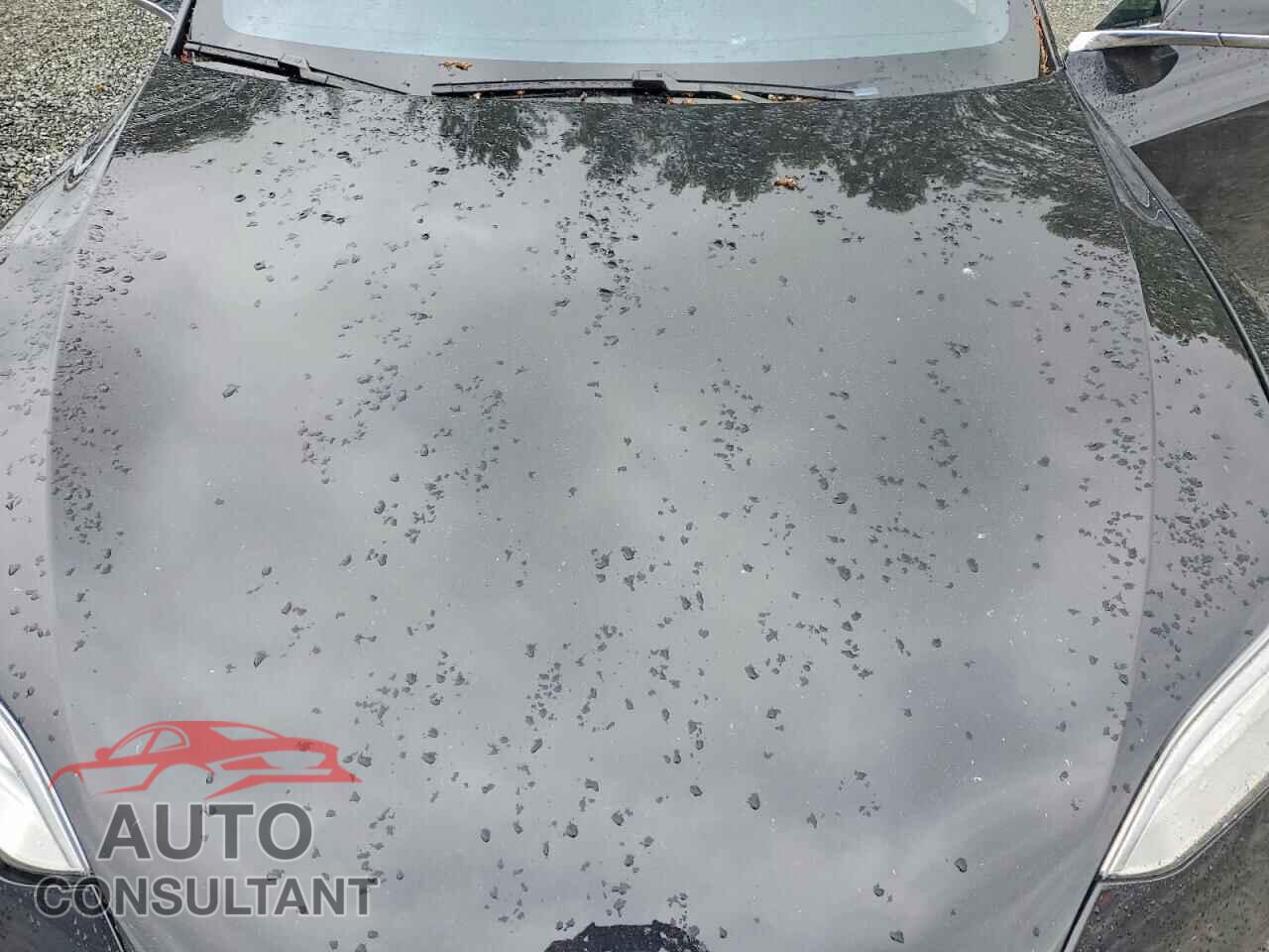 TESLA MODEL S 2016 - 5YJSA1E24GF171383
