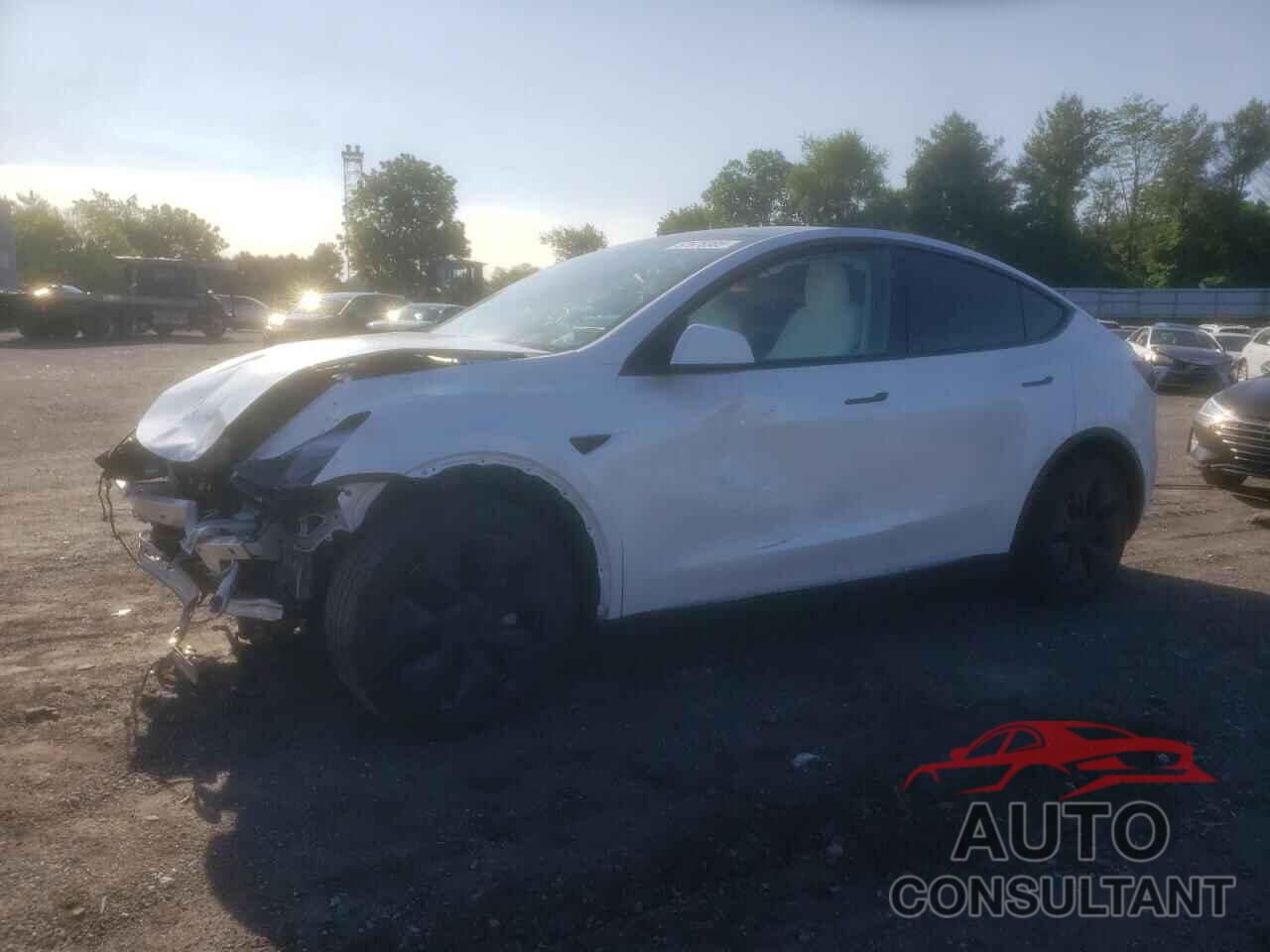 TESLA MODEL Y 2024 - 7SAYGDEE1RA319402