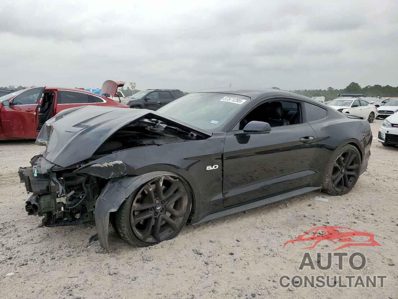 FORD MUSTANG 2019 - 1FA6P8CF6K5152848