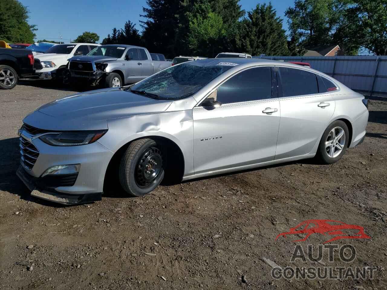 CHEVROLET MALIBU 2019 - 1G1ZB5ST3KF206704