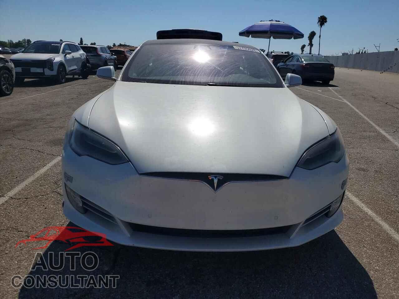 TESLA MODEL S 2019 - 5YJSA1E25KF337242