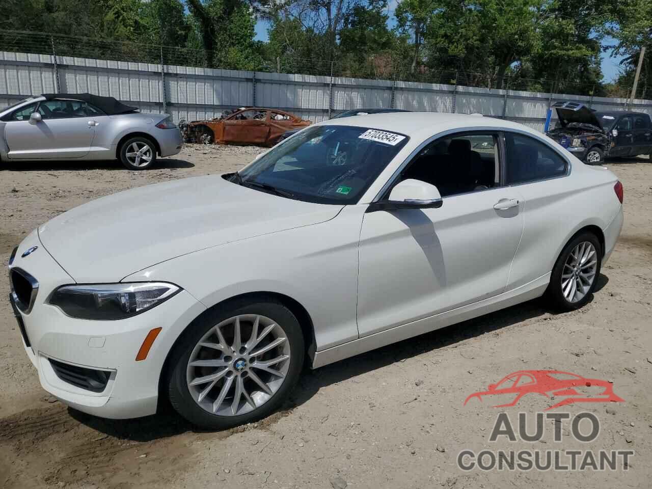 BMW 2 SERIES 2015 - WBA1G9C53FVX96439