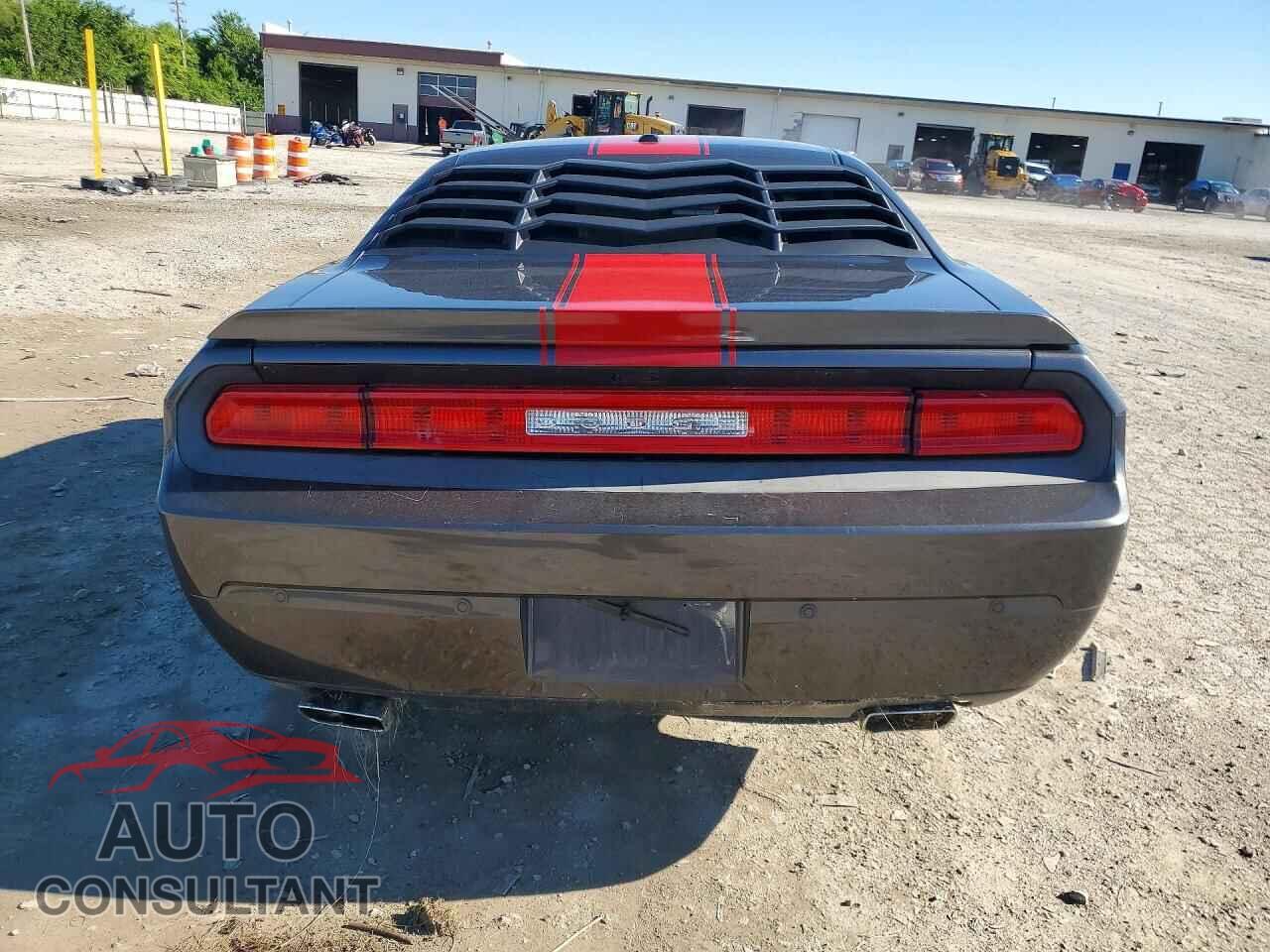 DODGE CHALLENGER 2013 - 2C3CDYAG1DH684171