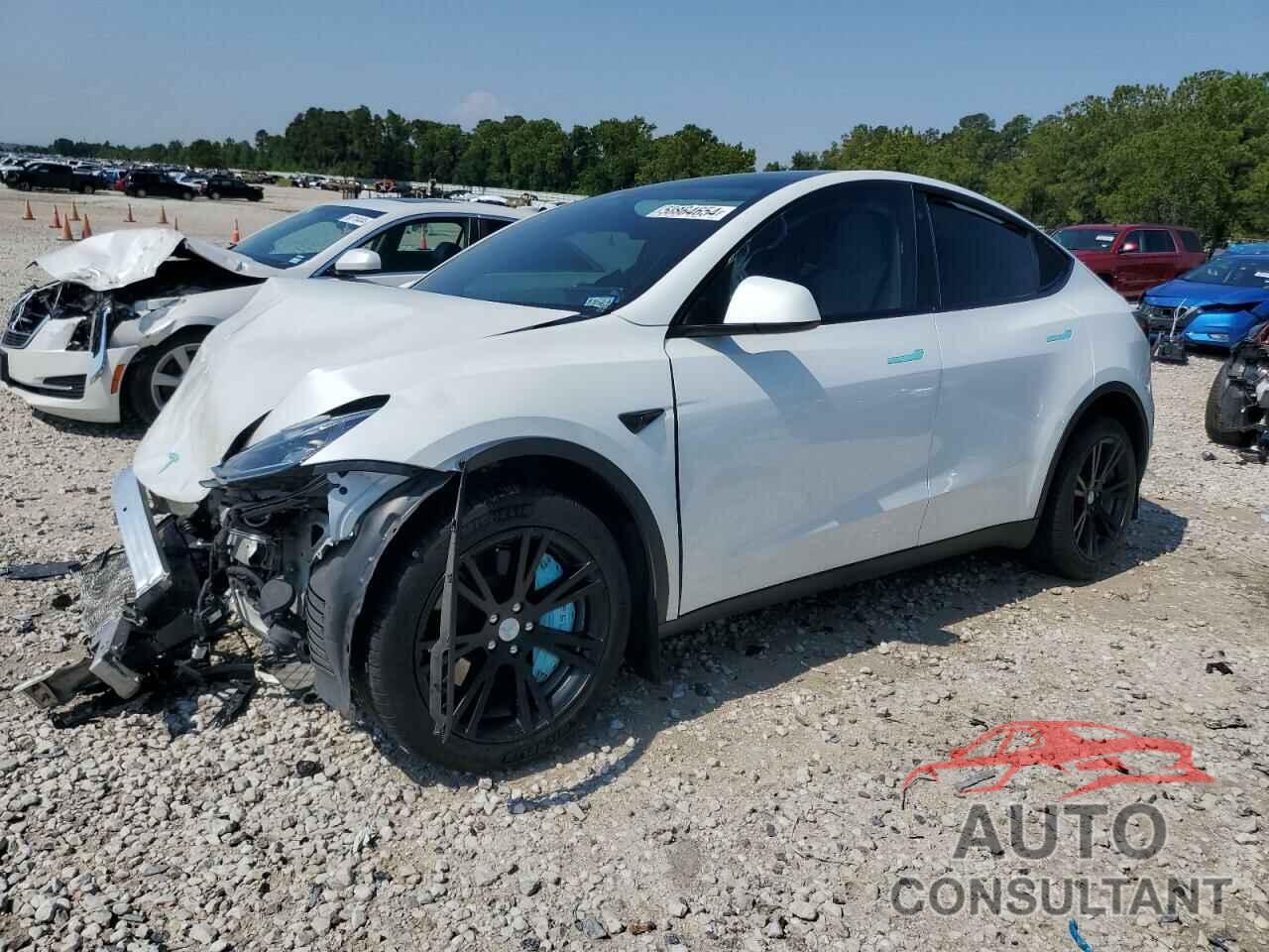 TESLA MODEL Y 2022 - 7SAYGAEE7NF322381