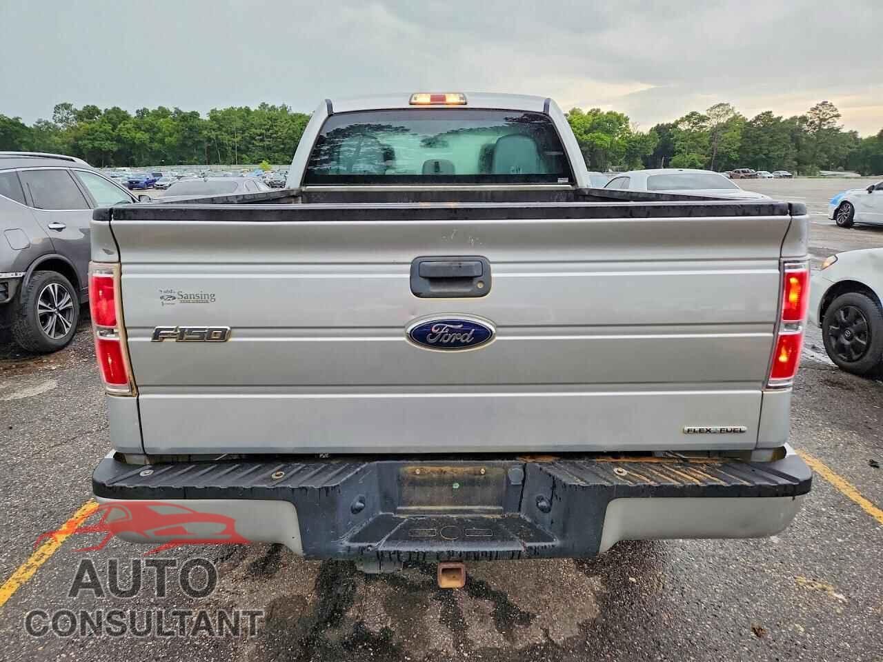 FORD F150 2013 - 1FTFX1EF3DFD77515