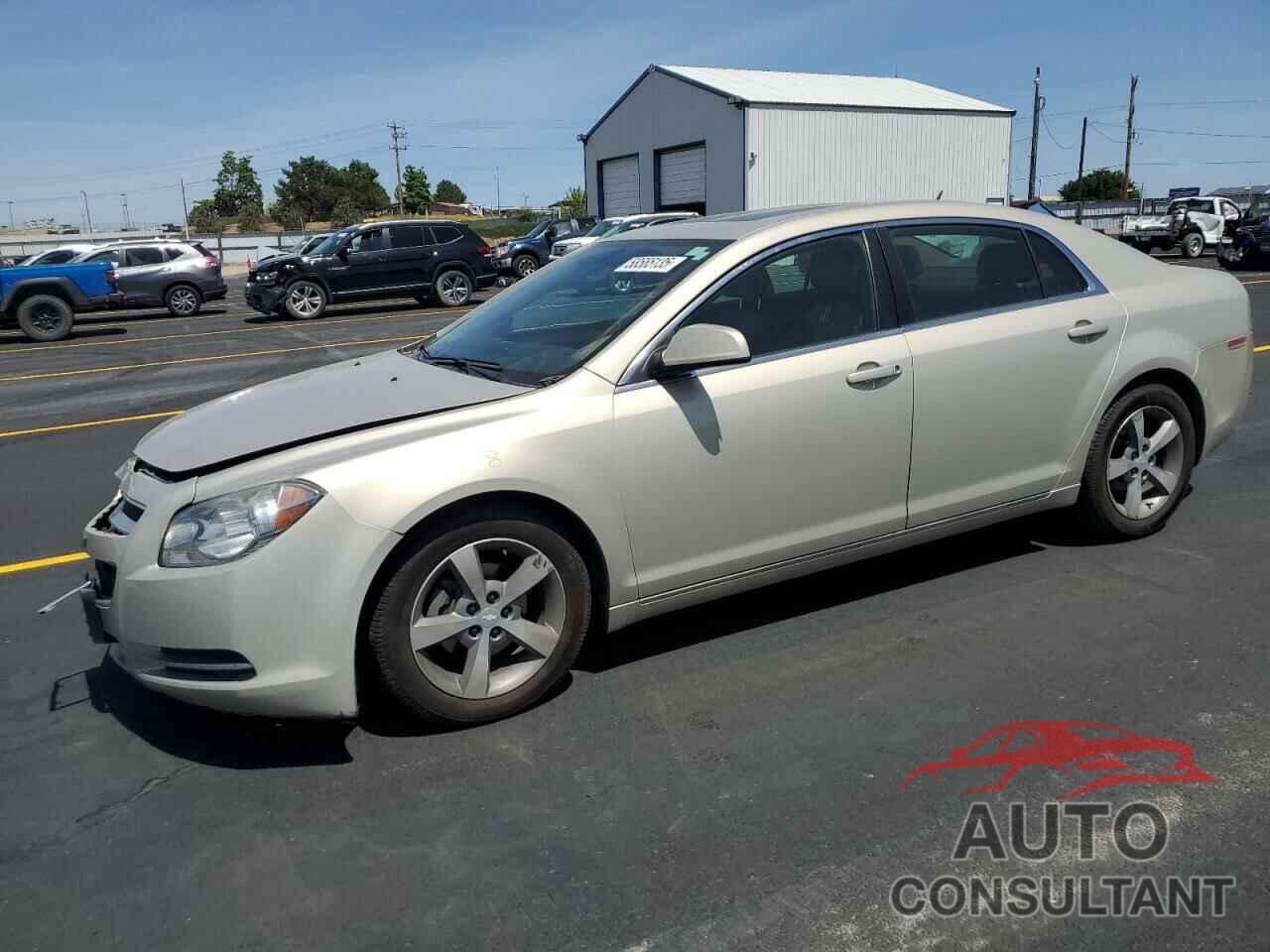 CHEVROLET MALIBU 2010 - 1G1ZD5EB5AF142287