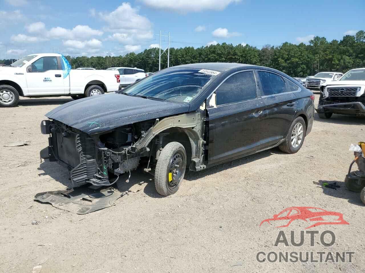 HYUNDAI SONATA 2019 - 5NPE24AF3KH739198