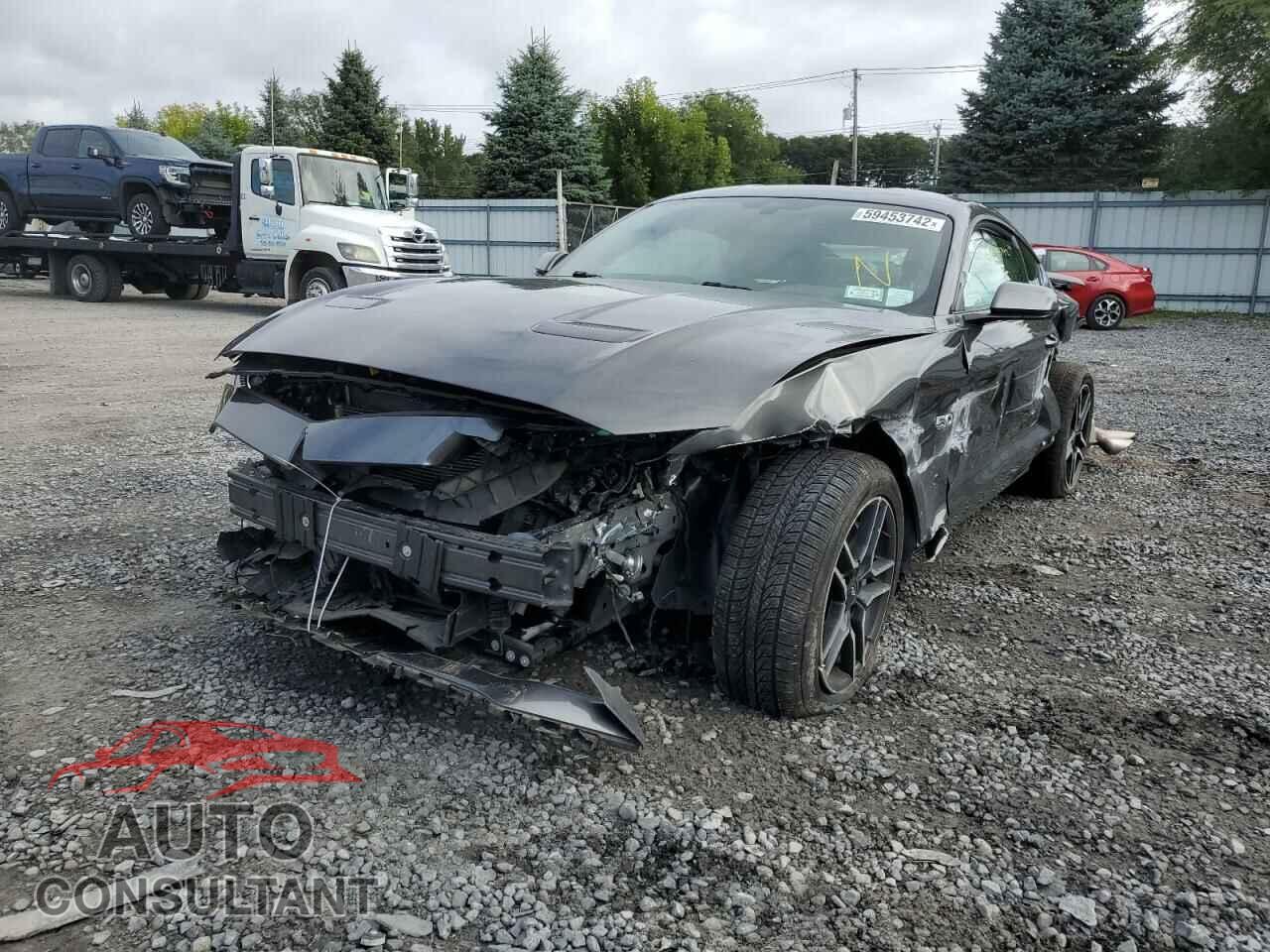 FORD MUSTANG 2019 - 1FA6P8CF4K5116091