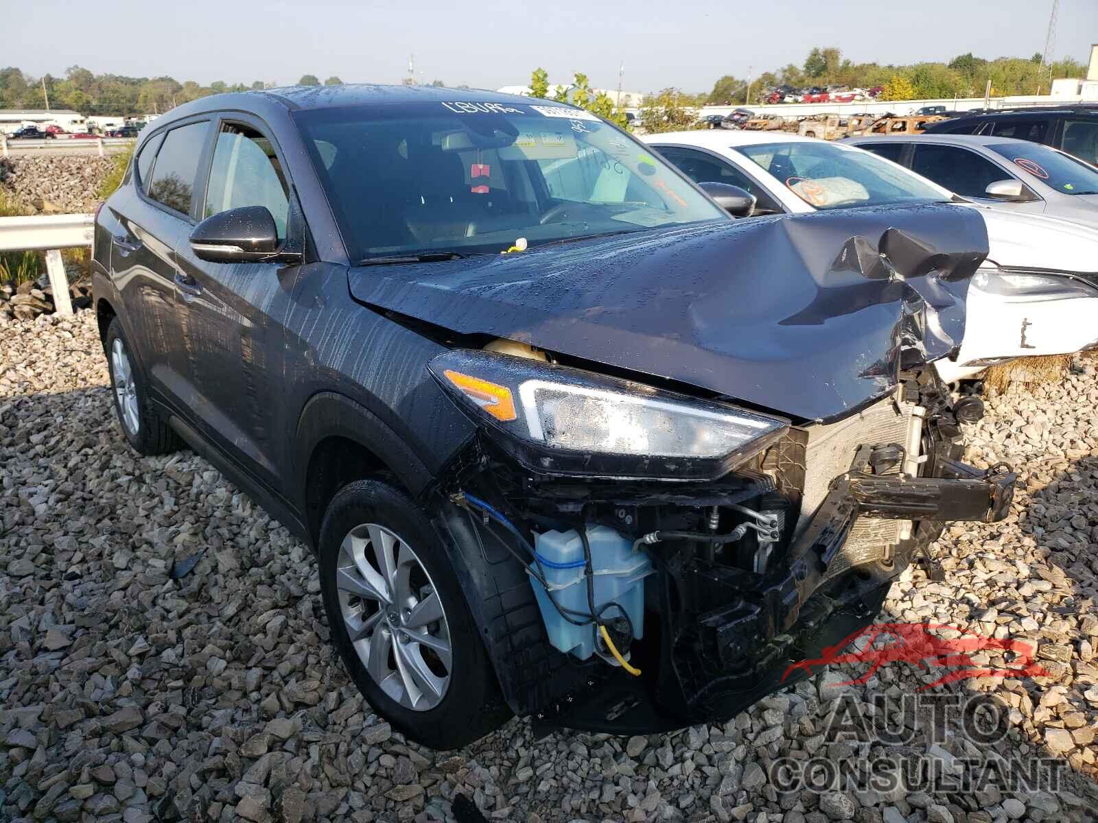 HYUNDAI TUCSON 2019 - KM8J23A41KU009539