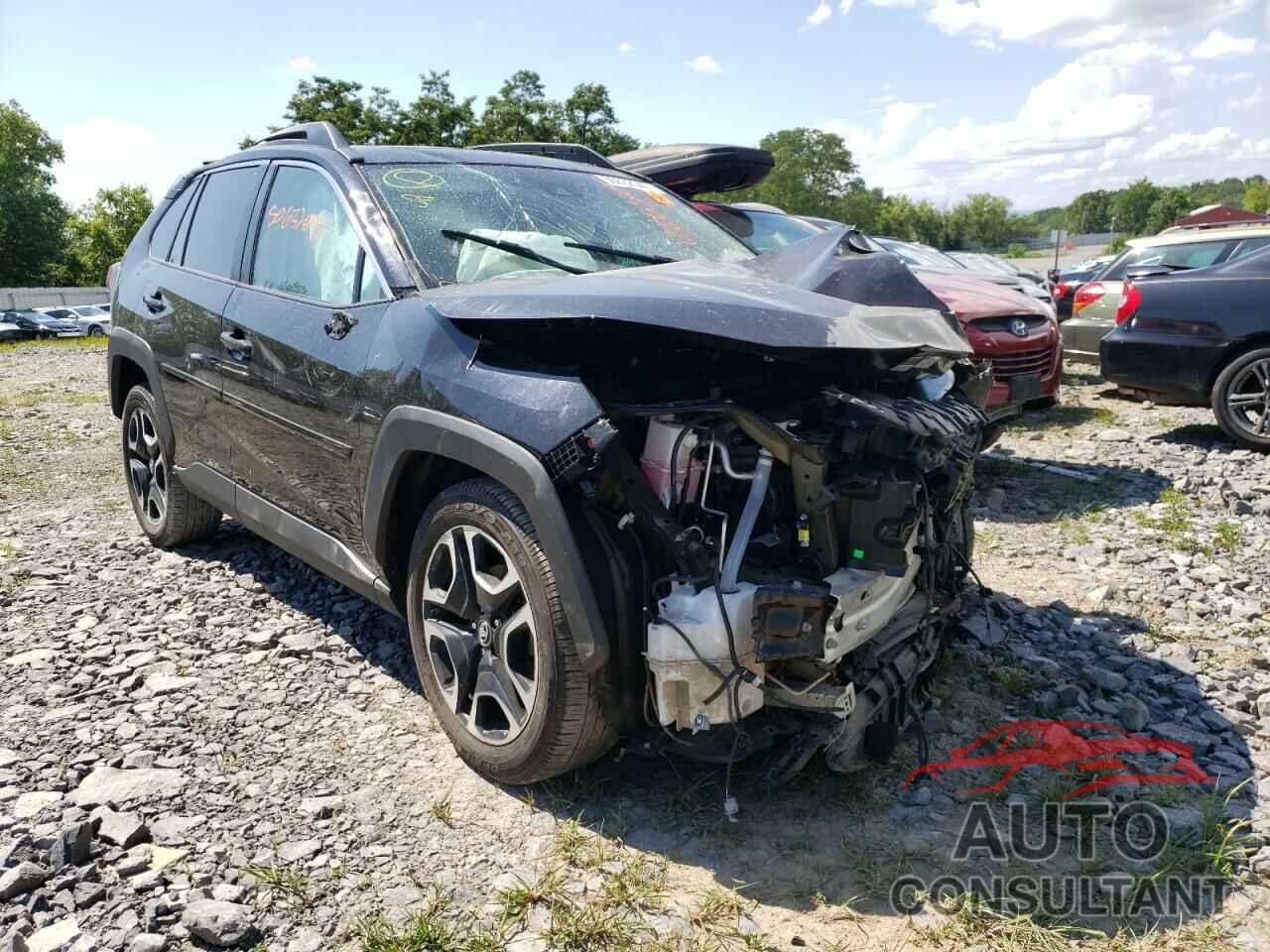 TOYOTA RAV4 2019 - 2T3J1RFV6KW039943
