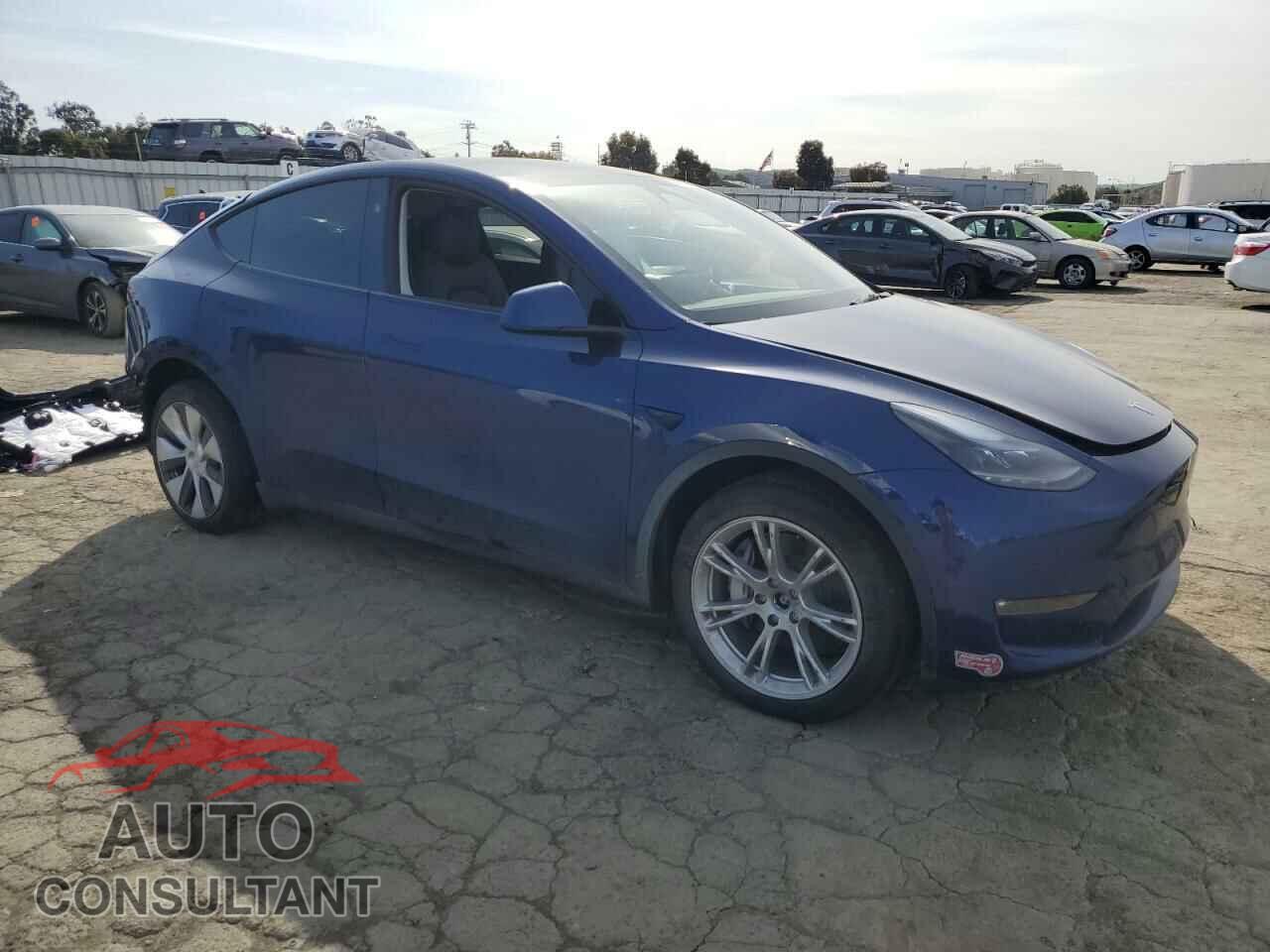 TESLA MODEL Y 2024 - 7SAYGDEE9RF981540