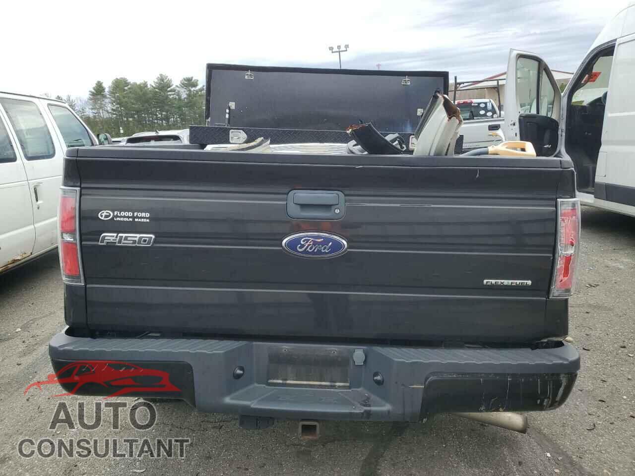 FORD F-150 2013 - 1FTFX1EF0DFD29518