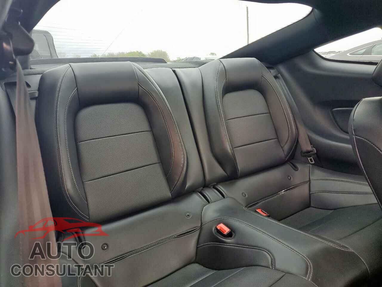 FORD MUSTANG 2019 - 1FA6P8CF3K5108905