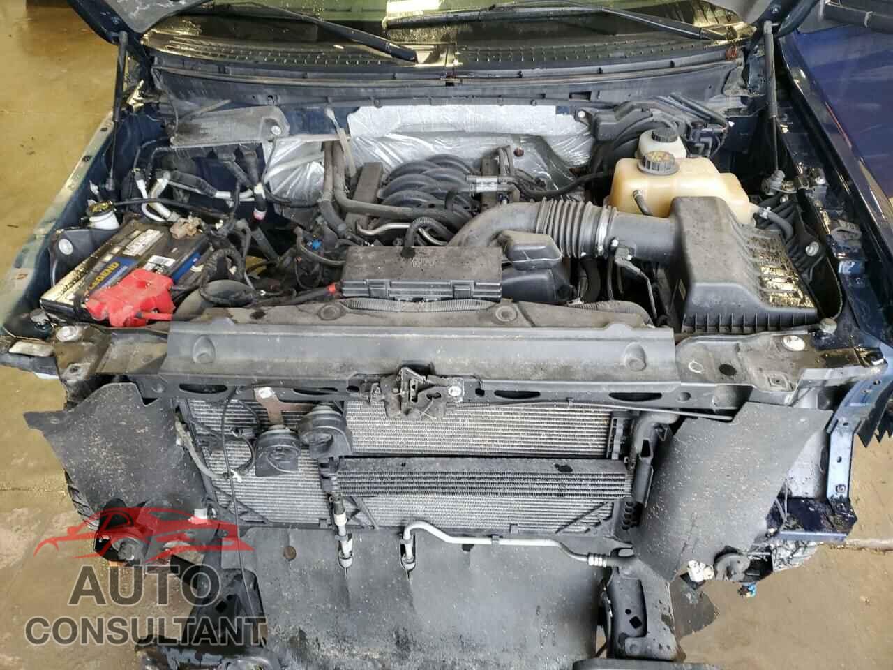 FORD F-150 2012 - 1FTFX1EF1CFB15541