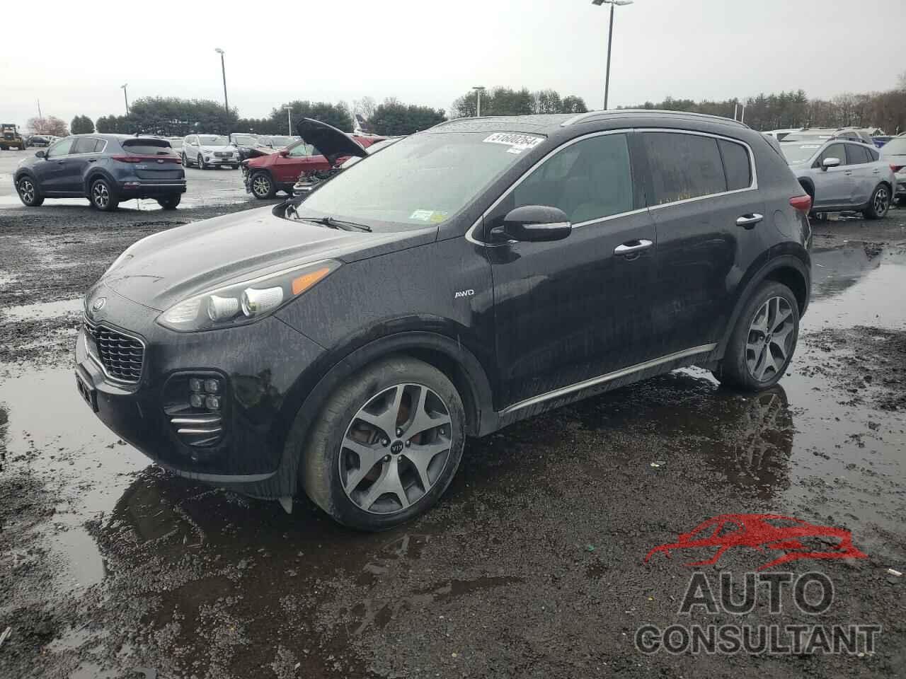 KIA SPORTAGE 2017 - KNDPRCA60H7216216