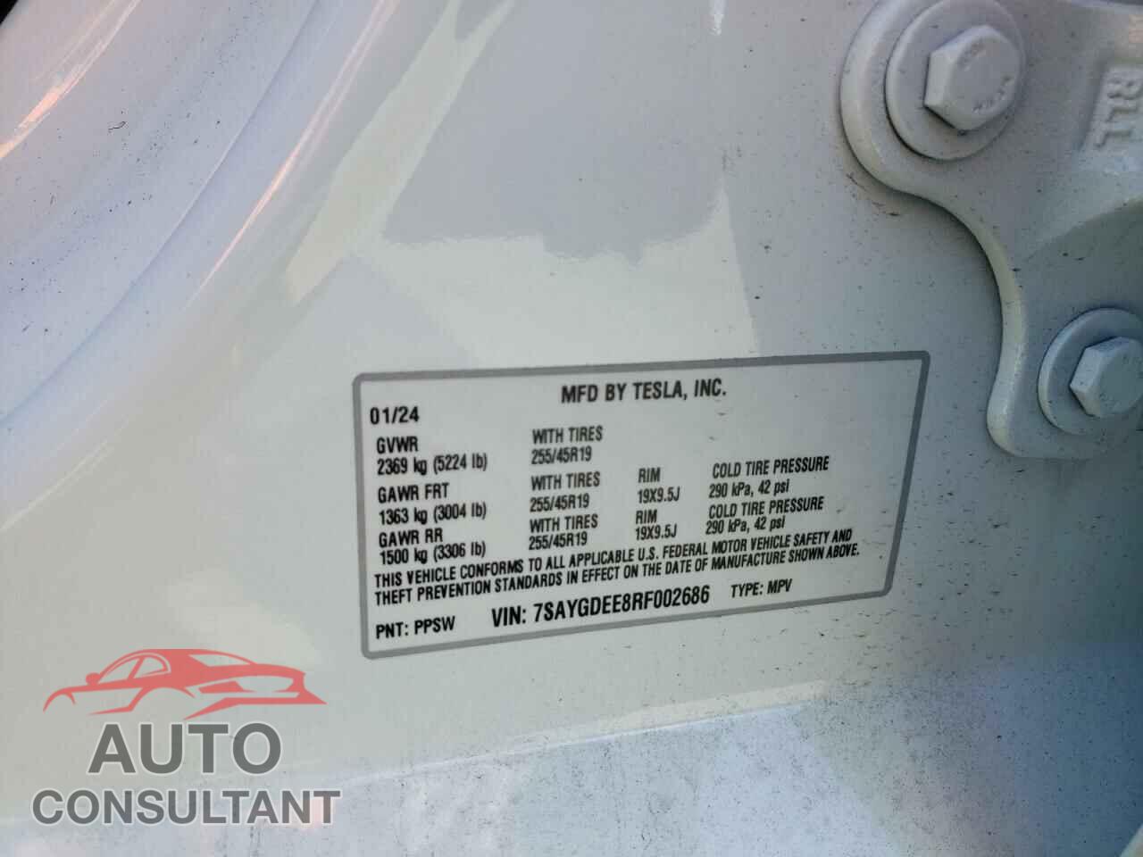 TESLA MODEL Y 2024 - 7SAYGDEE8RF002686