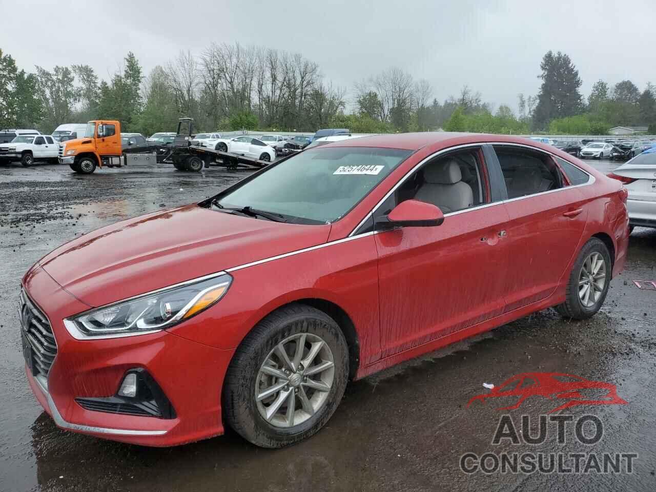 HYUNDAI SONATA 2019 - 5NPE24AF0KH787192