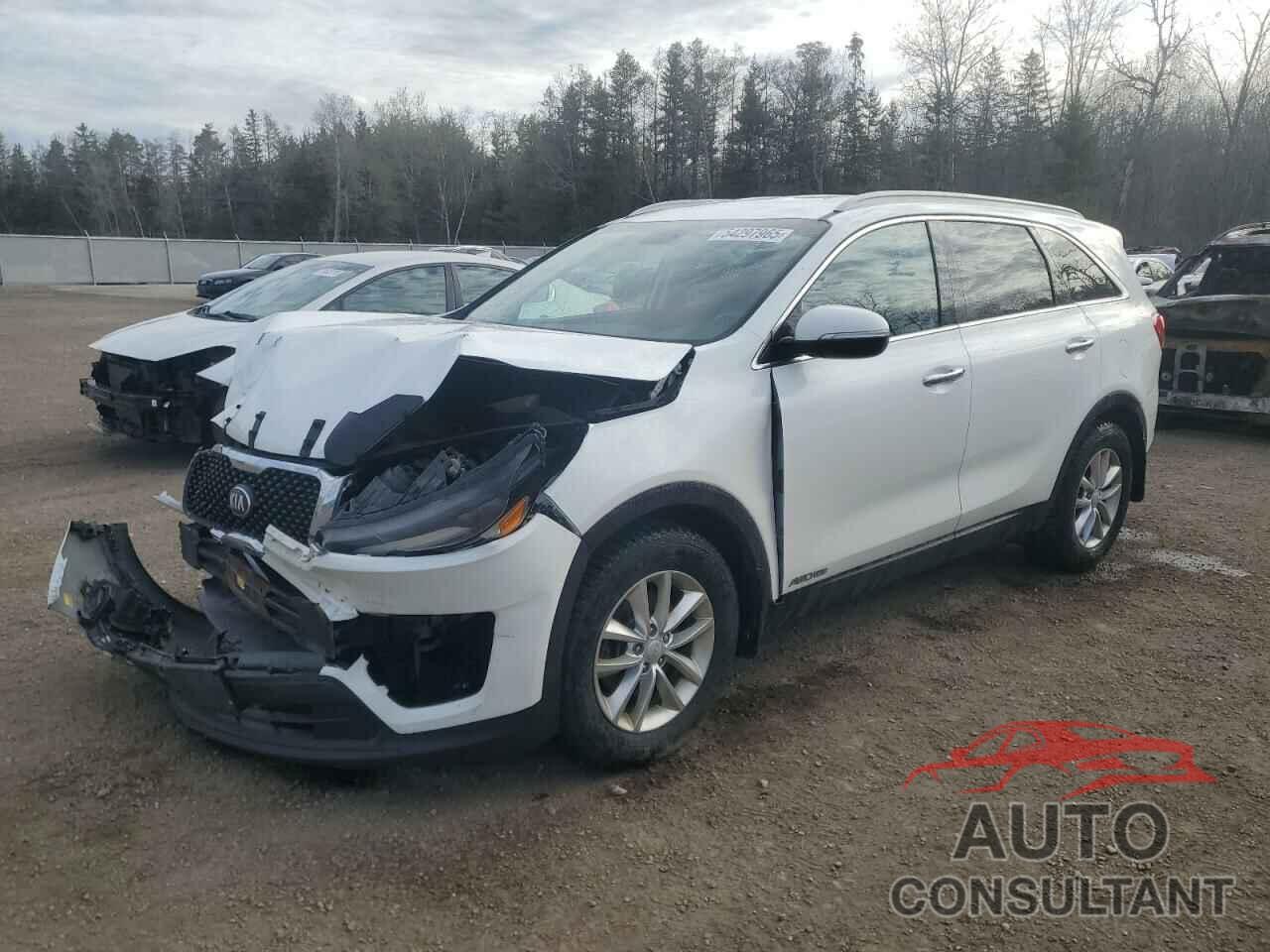 KIA SORENTO 2018 - 5XYPGDA56JG353981