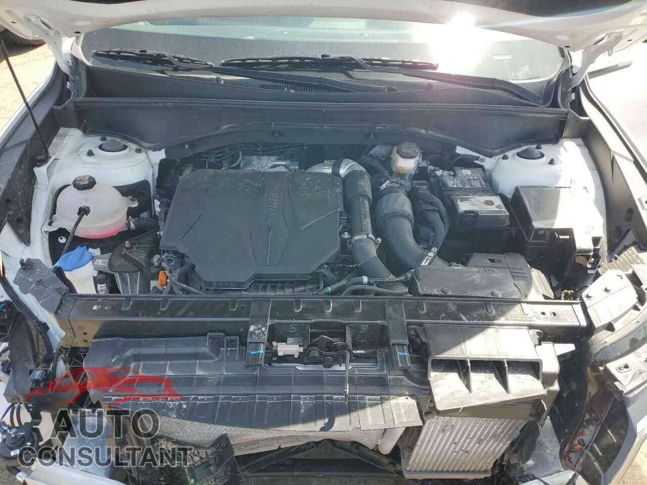 KIA SORENTO 2023 - 5XYRKDLF5PG228461