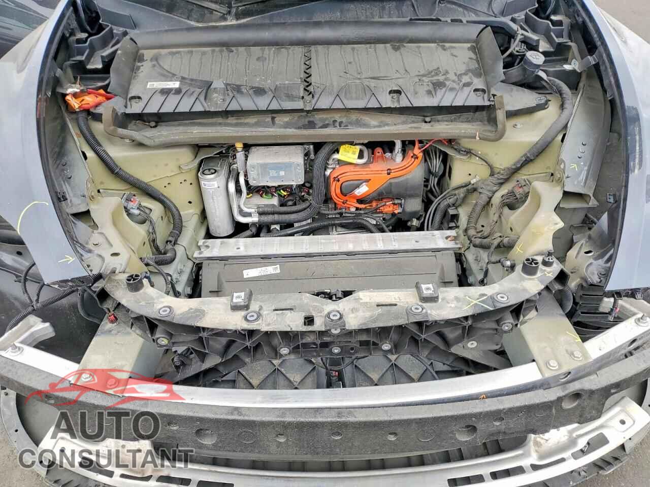 TESLA MODEL Y 2024 - 7SAYGDEE7RF036070