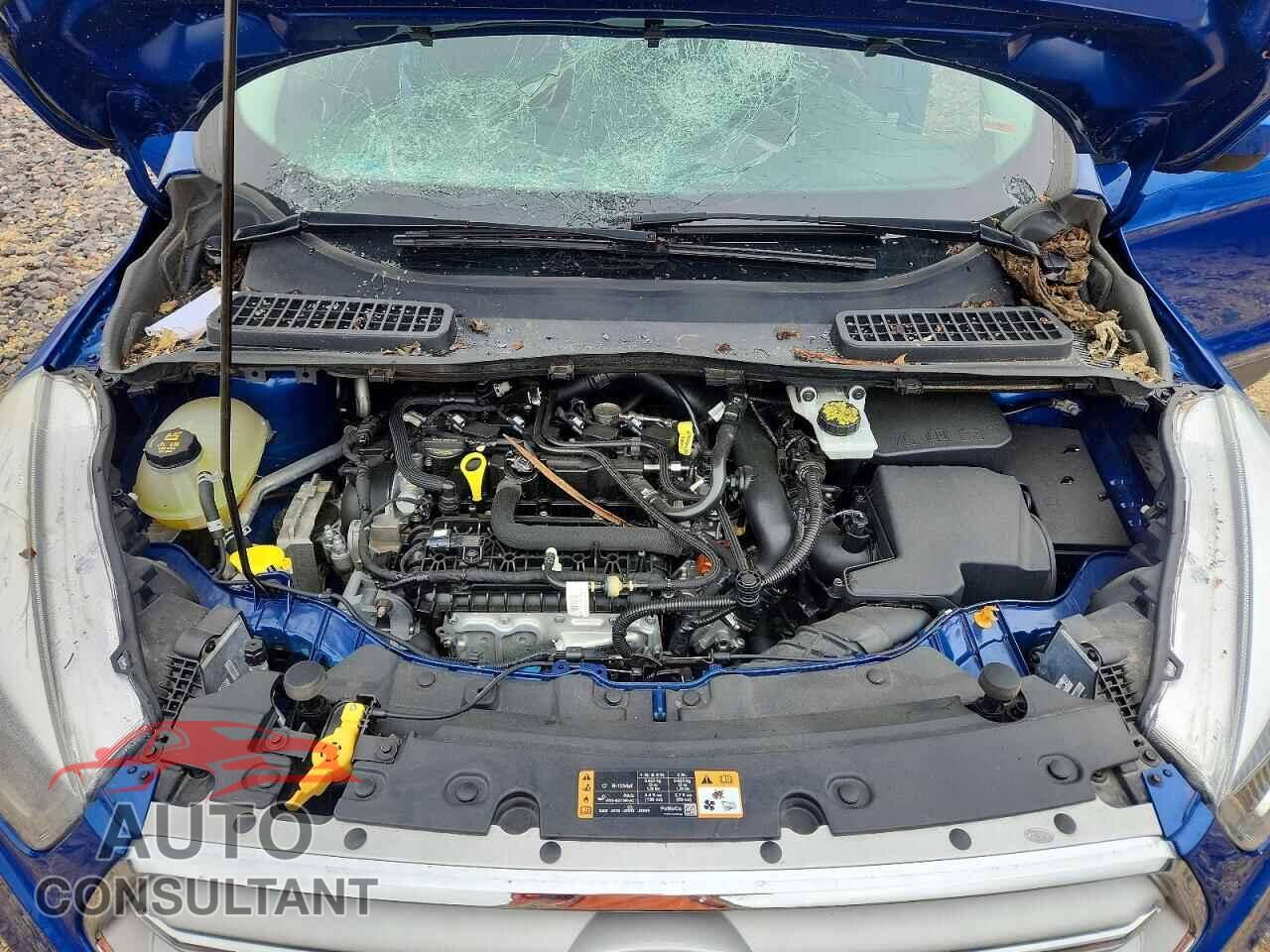 FORD ESCAPE 2019 - 1FMCU9HD7KUB02724