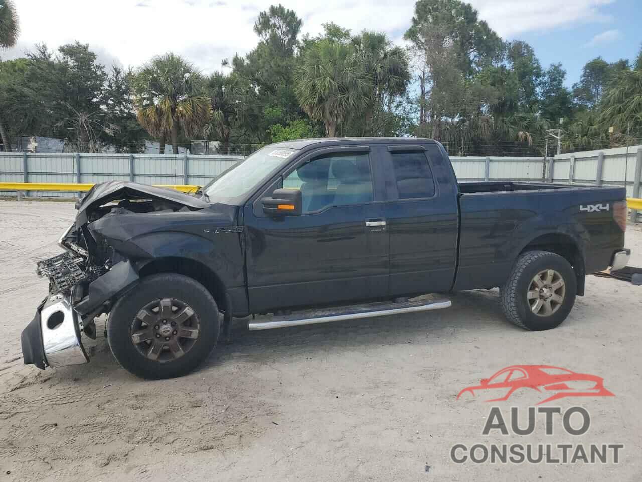 FORD F-150 2013 - 1FTFX1EF7DFA59025