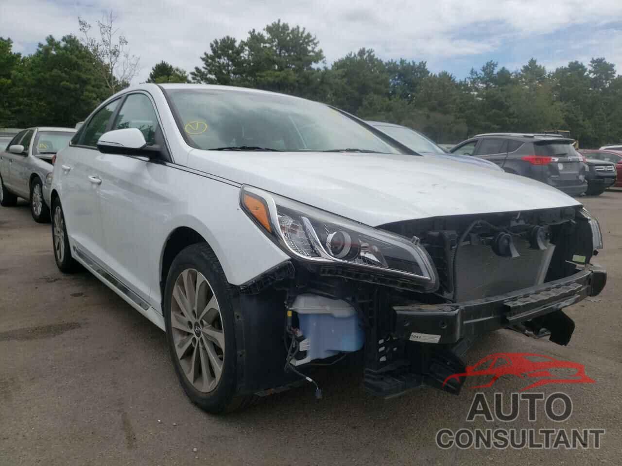 HYUNDAI SONATA 2017 - 5NPE34AF5HH513413