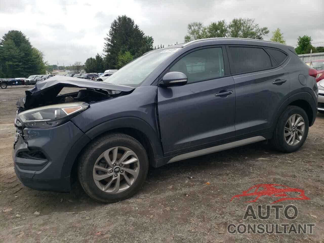 HYUNDAI TUCSON 2017 - KM8J33A49HU404431
