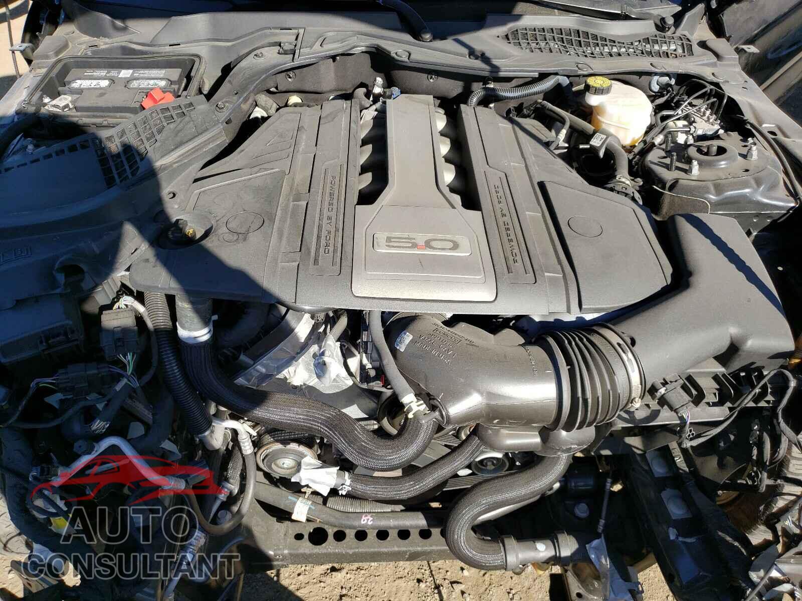 FORD MUSTANG 2019 - 1FA6P8CF4K5146966