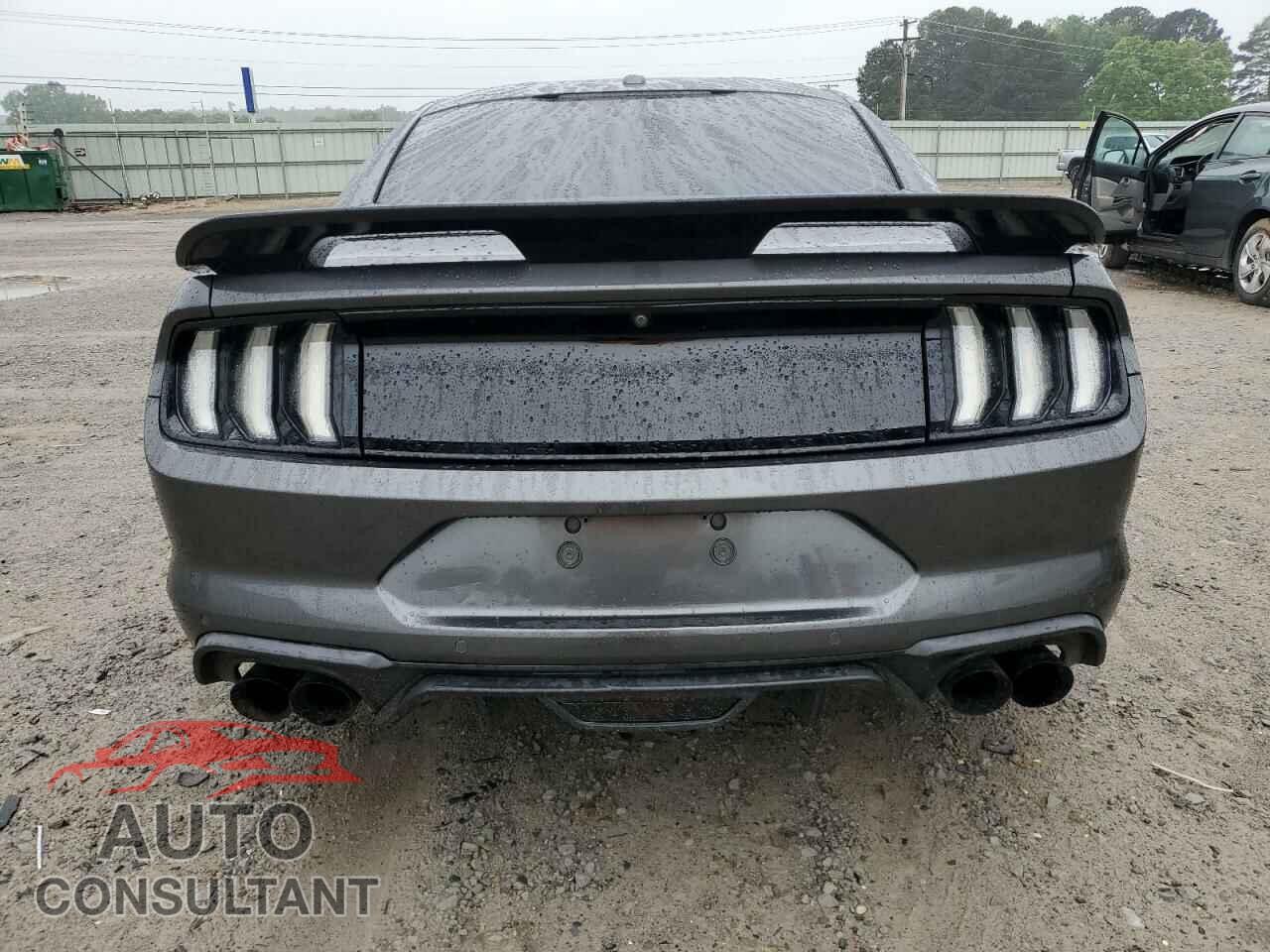 FORD MUSTANG 2019 - 1FA6P8CF2K5120219