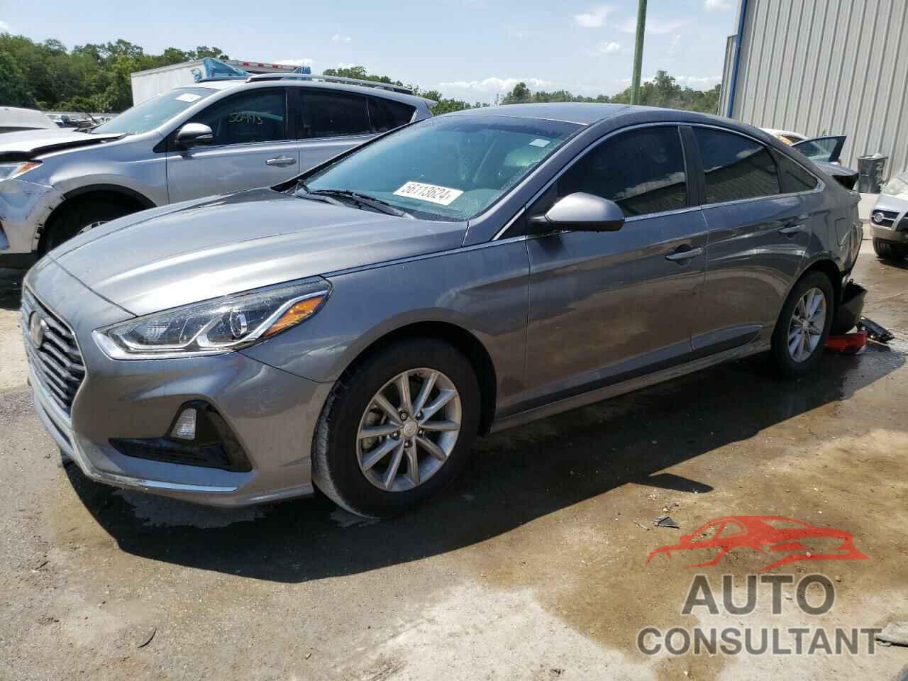 HYUNDAI SONATA 2019 - 5NPE24AF4KH770914