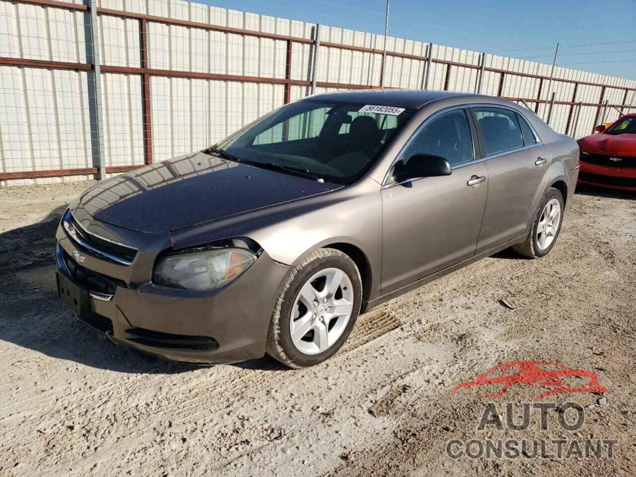 CHEVROLET MALIBU 2010 - 1G1ZA5E02AF283728