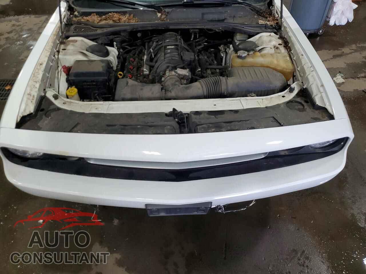 DODGE CHALLENGER 2013 - 2C3CDYBT9DH631276