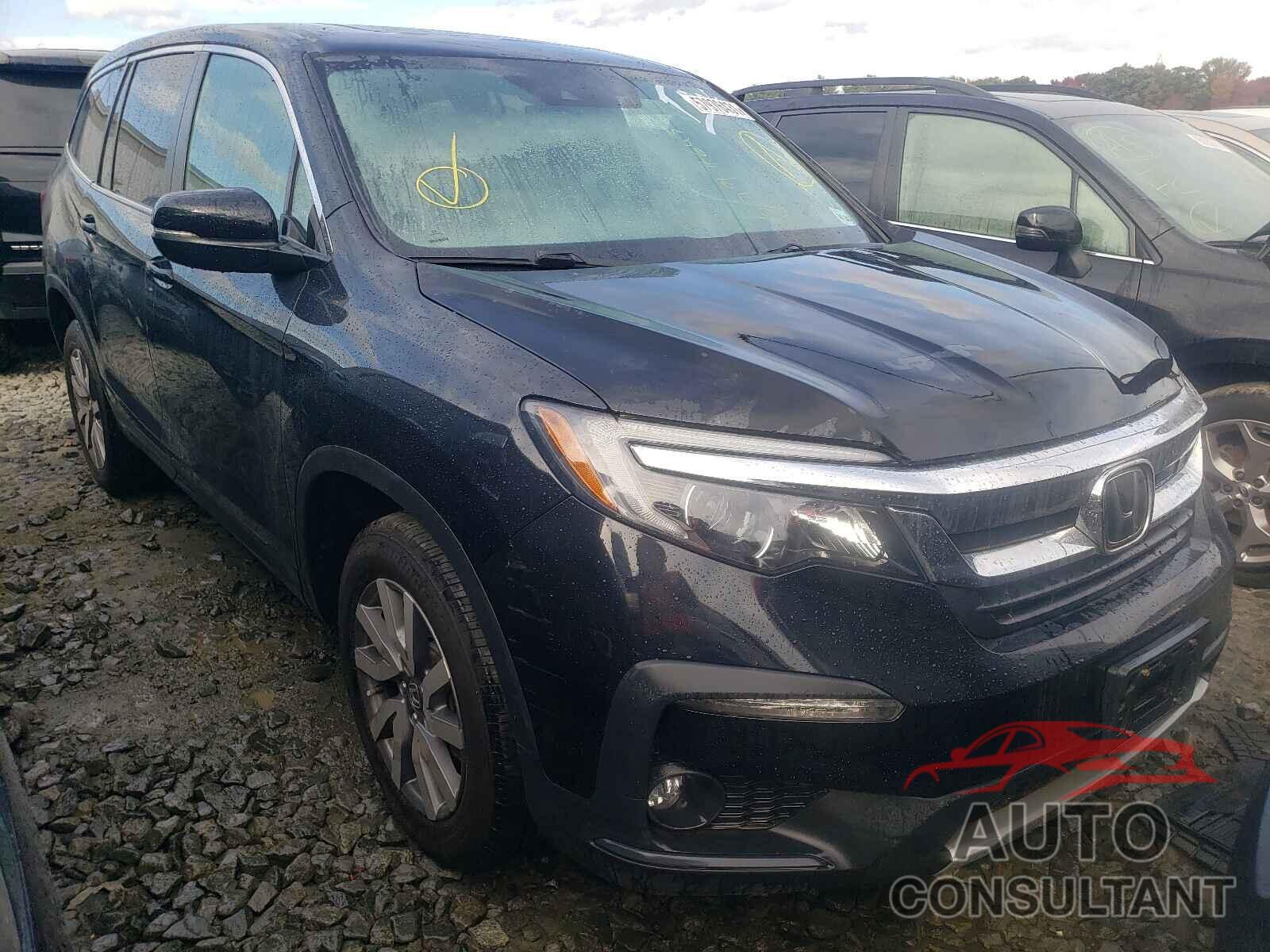 HONDA PILOT 2019 - 5FNYF6H51KB095757