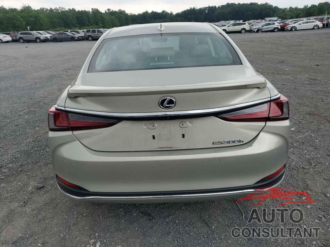 LEXUS ES300 2020 - 58AD21B12LU007265