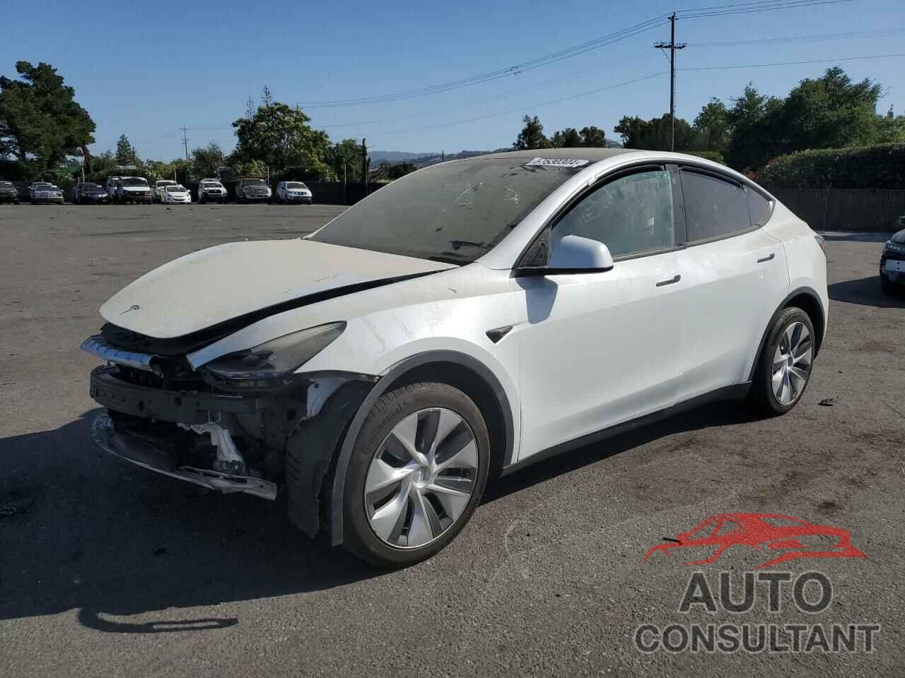 TESLA MODEL Y 2022 - 7SAYGDEE1NF551267