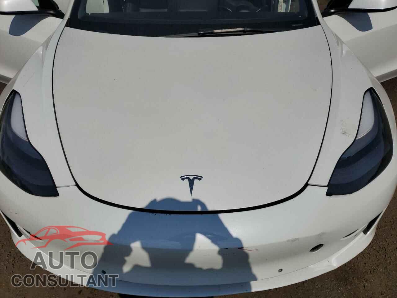 TESLA MODEL 3 2022 - 5YJ3E1EA2NF101930