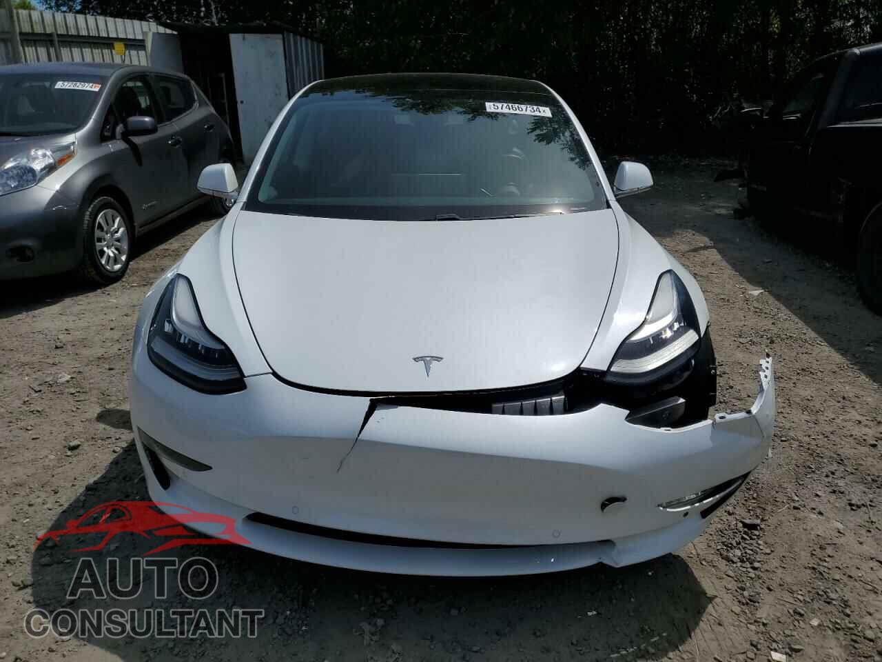 TESLA MODEL 3 2019 - 5YJ3E1EA3KF308001
