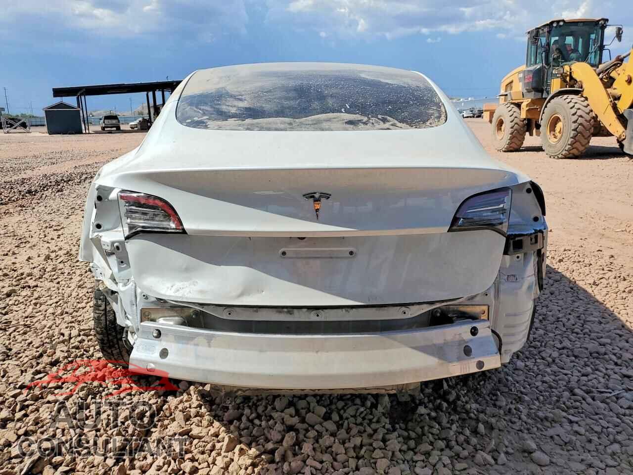 TESLA MODEL 3 2020 - 5YJ3E1EA8LF806616