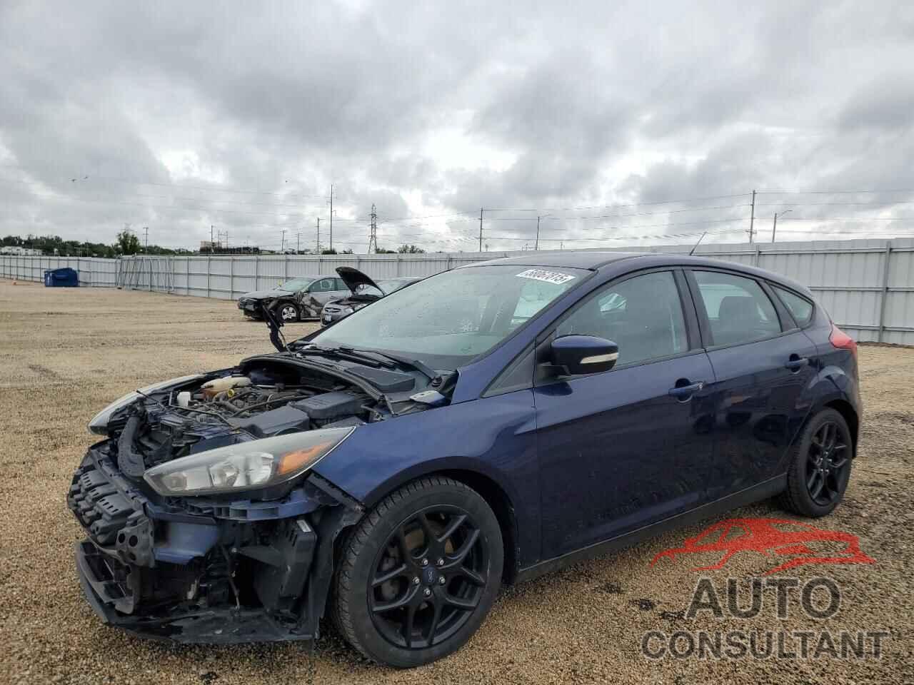 FORD FOCUS 2016 - 1FADP3K23GL298894