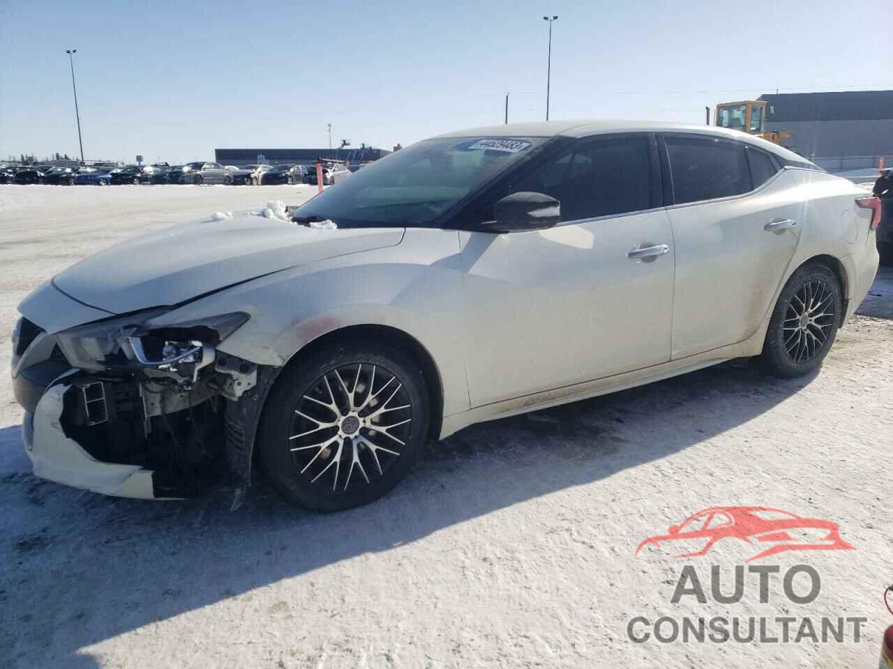 NISSAN MAXIMA 2016 - 1N4AA6AP1GC377970
