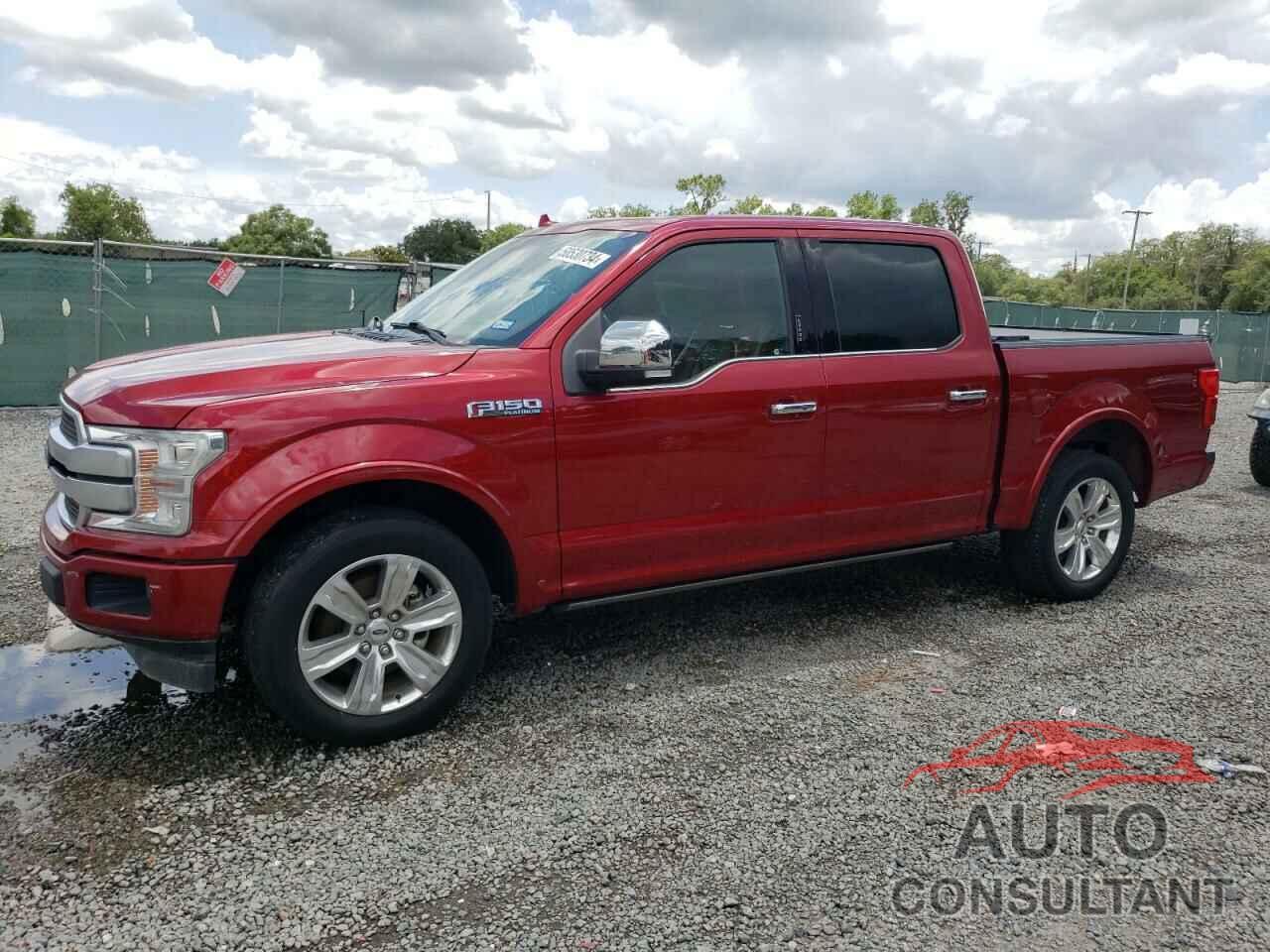 FORD F-150 2019 - 1FTEW1C4XKFB84694