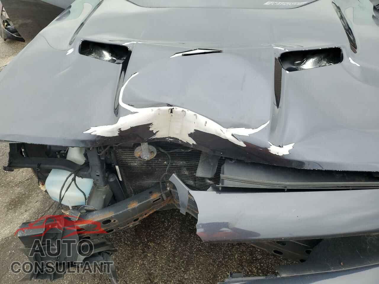 DODGE CHALLENGER 2019 - 2C3CDZAG6KH618377