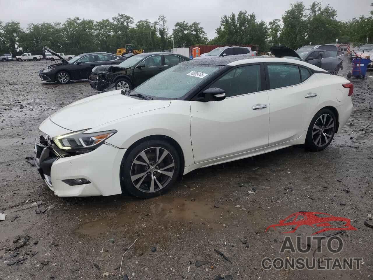 NISSAN MAXIMA 2017 - 1N4AA6AP0HC414931