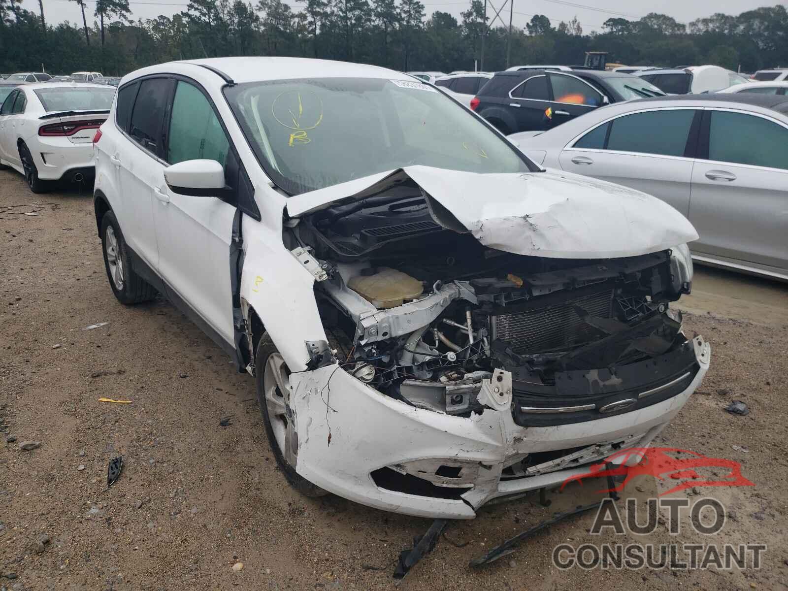 FORD ESCAPE 2016 - 1FMCU0G70GUA91287