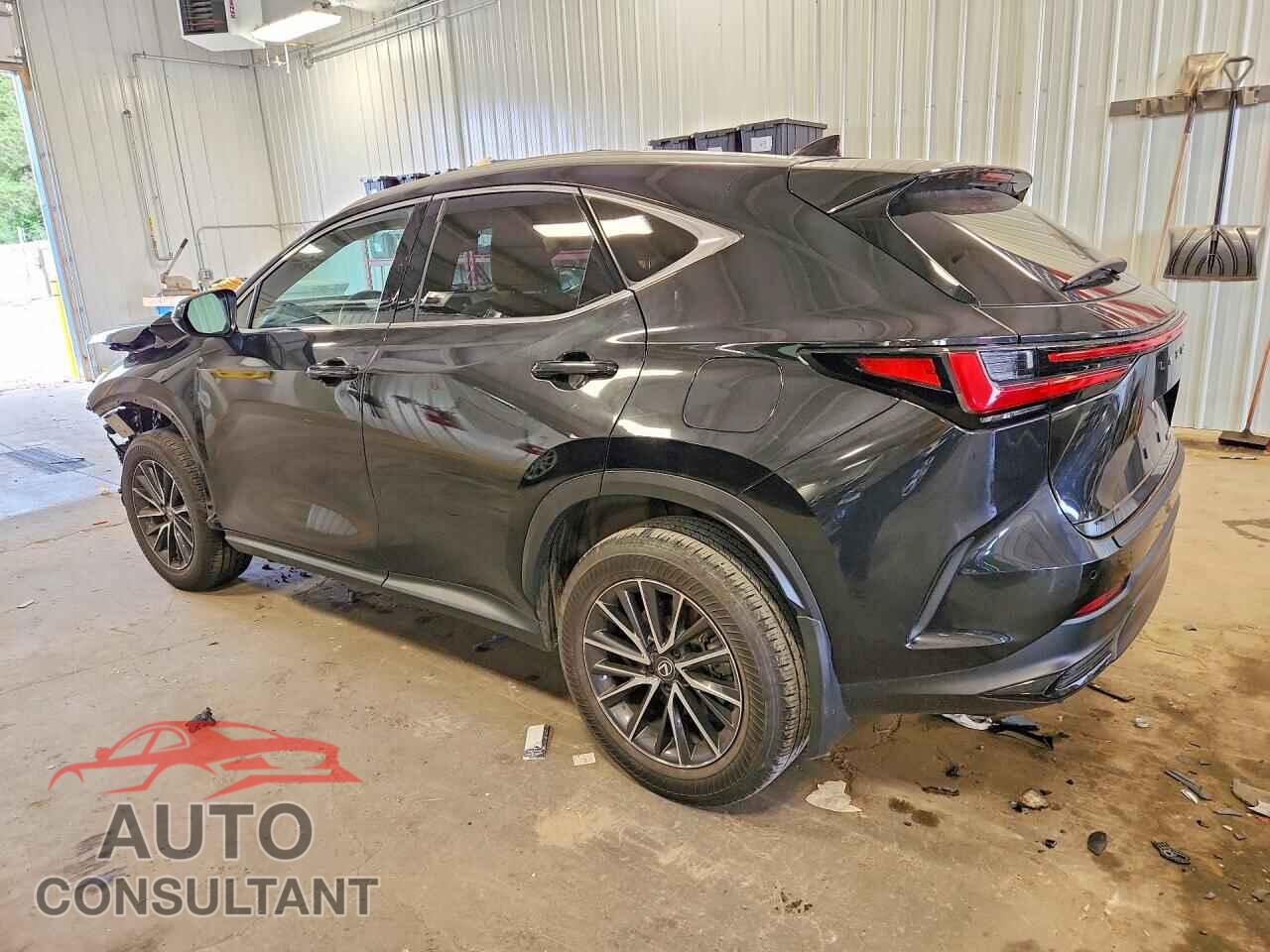 LEXUS NX 2024 - 2T2GDCAZ5RC007722