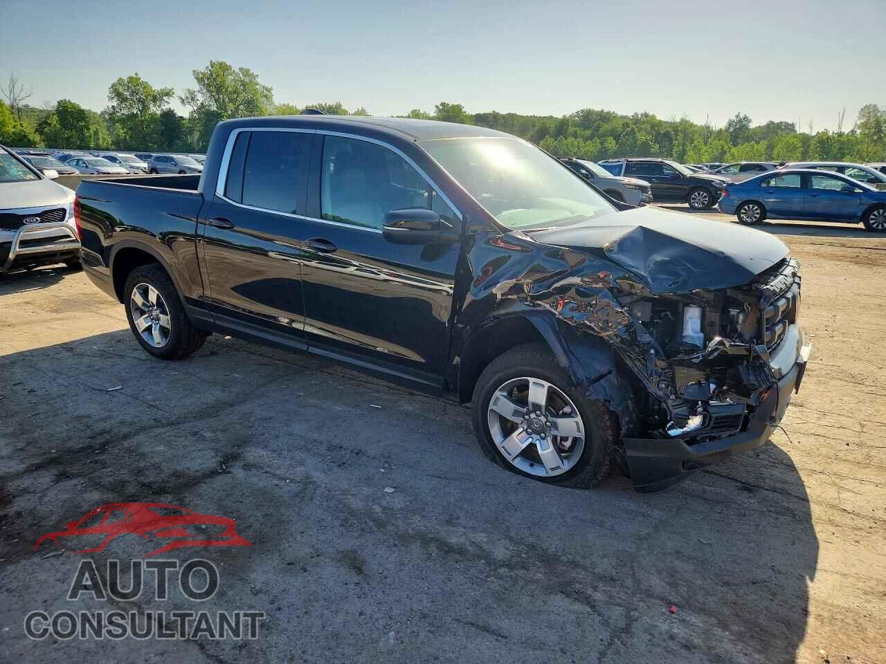 HONDA RIDGELINE 2026 - 5FPYK3F56TB001135