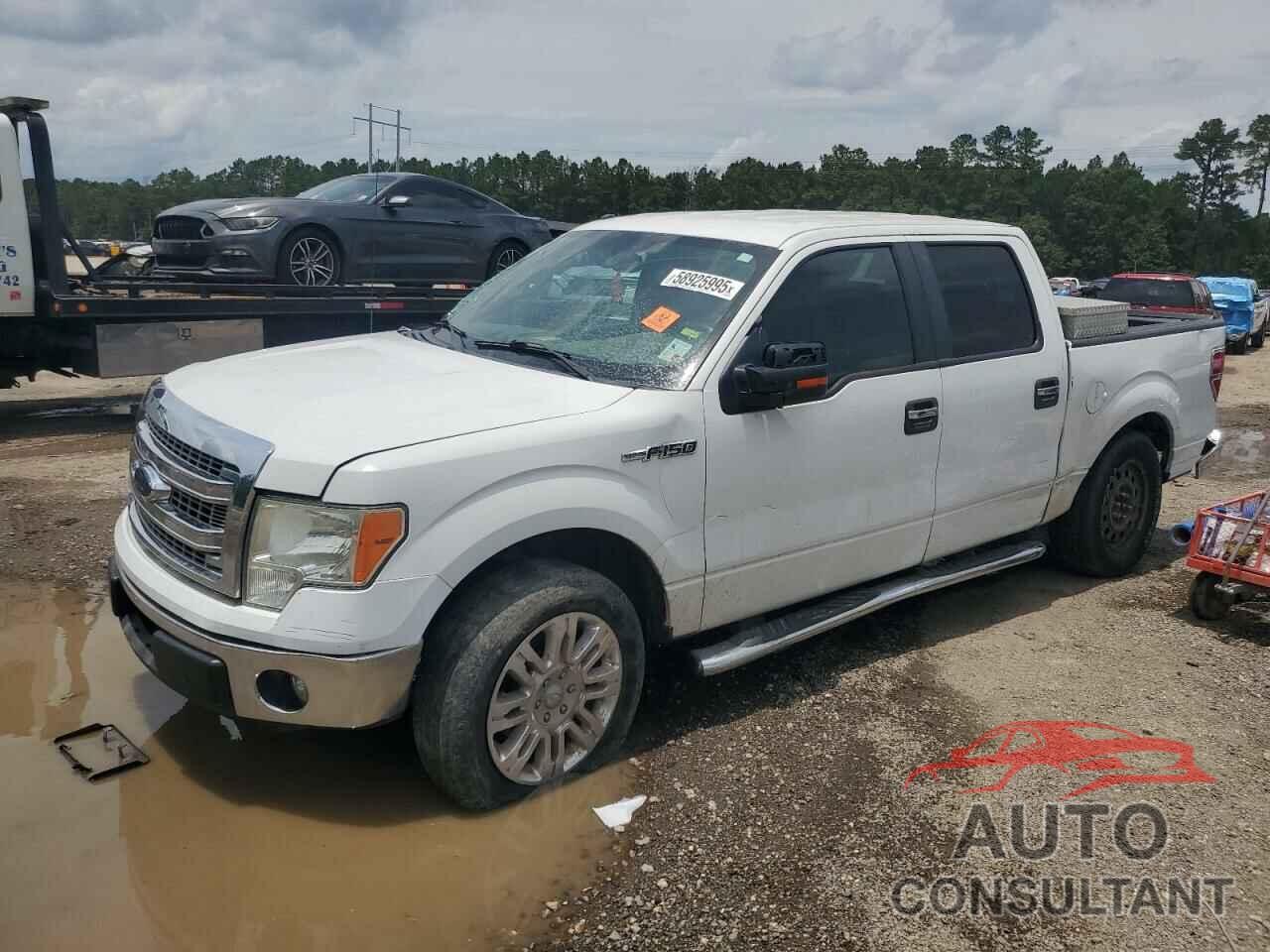 FORD F-150 2013 - 1FTFW1CF3DFD52748